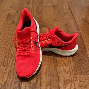 Nike Air Zoom Pegasus 39